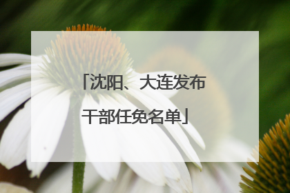 沈阳、大连发布干部任免名单